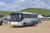 35-55座大金龍